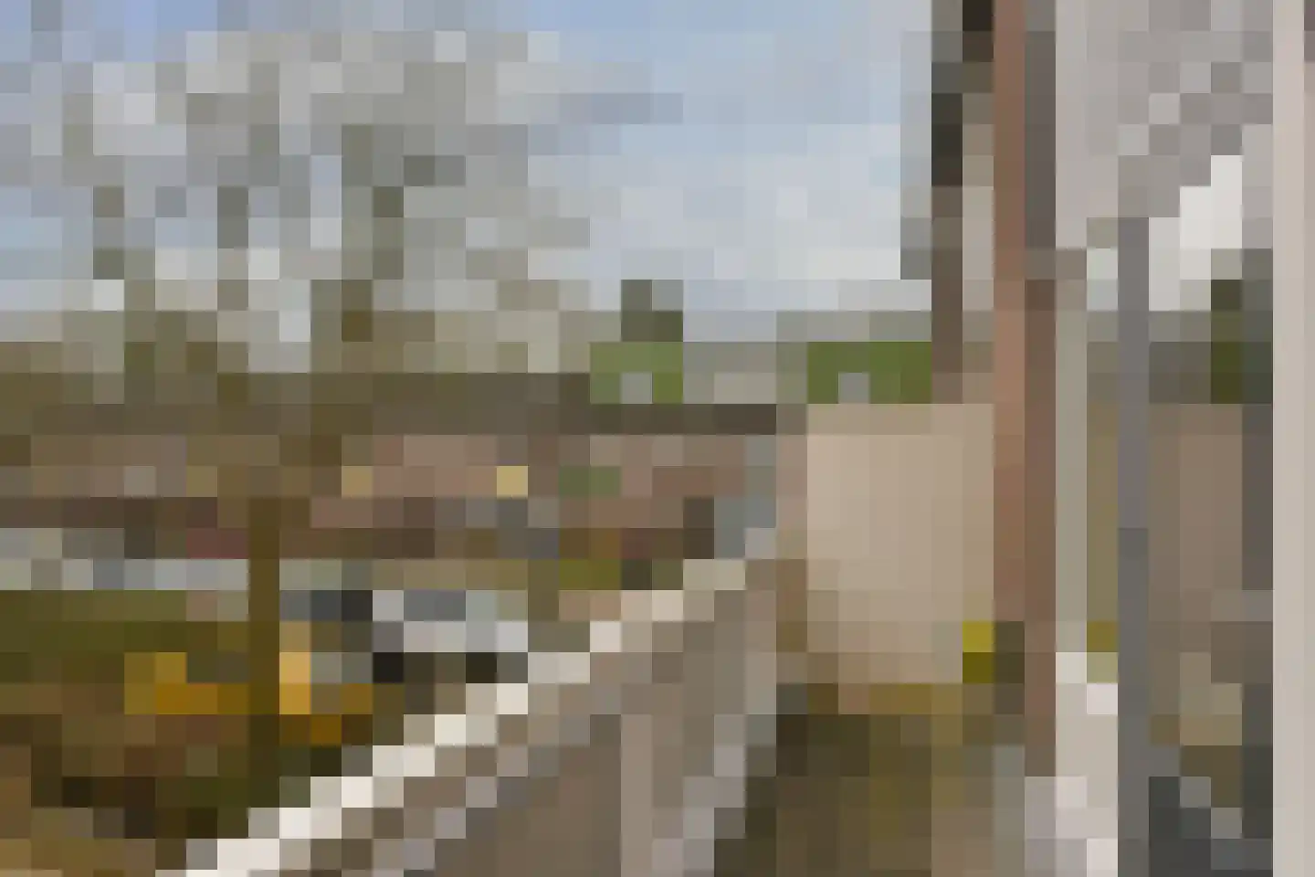 Waterman 115 Hoorn thumbnail 22