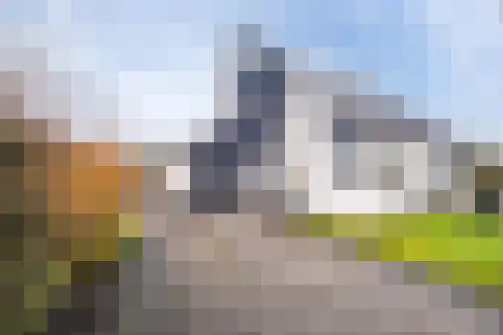 Waterman 3 Tolbert thumbnail 8