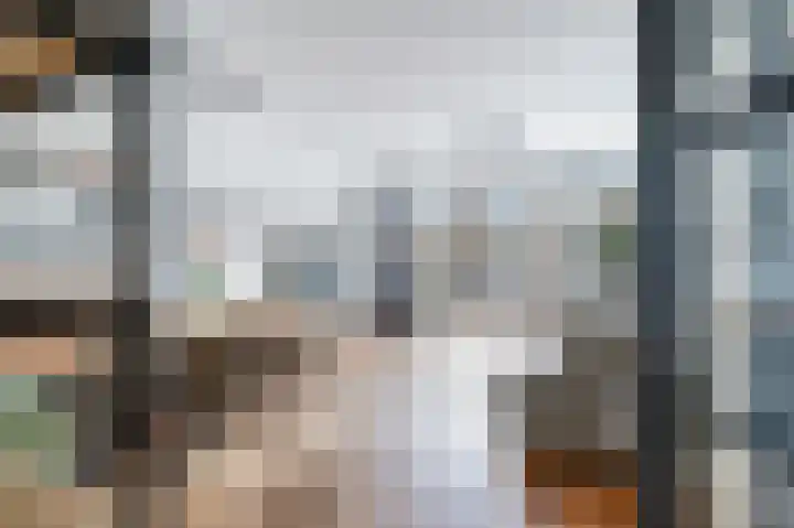 Waterman 48 Dordrecht foto 3