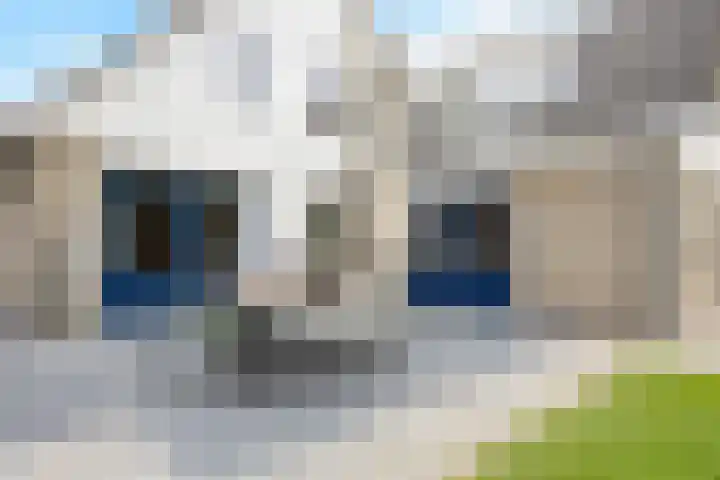 Waterman 8 Tolbert thumbnail 50