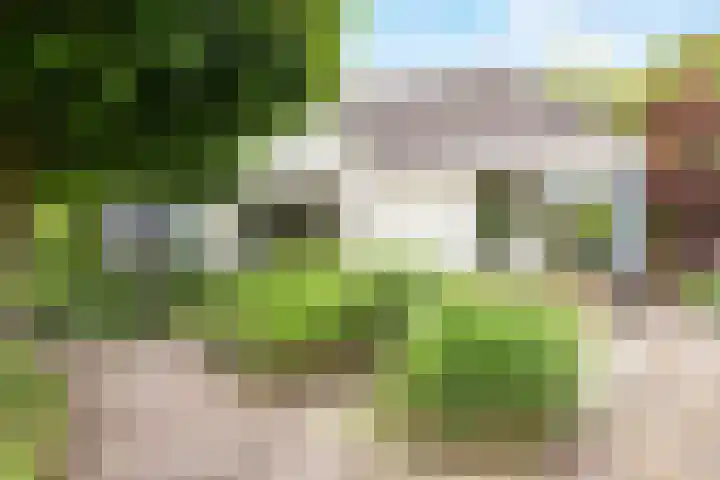 Waterman 8 Tolbert thumbnail 8
