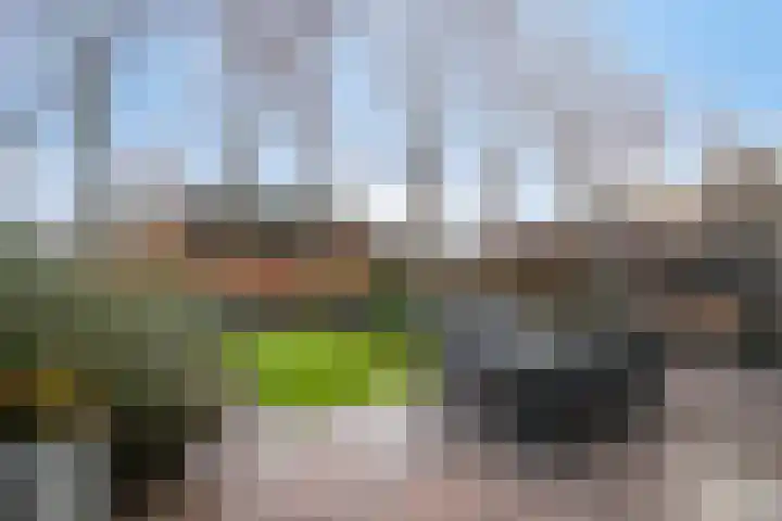 Watermanlaan 26 Son en Breugel thumbnail 31