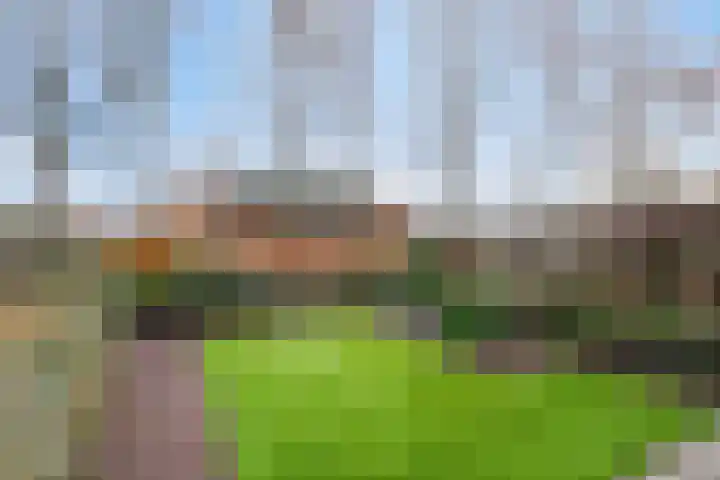 Watermanlaan 26 Son en Breugel thumbnail 33