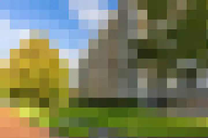 Watermanstraat 22 in Groningen