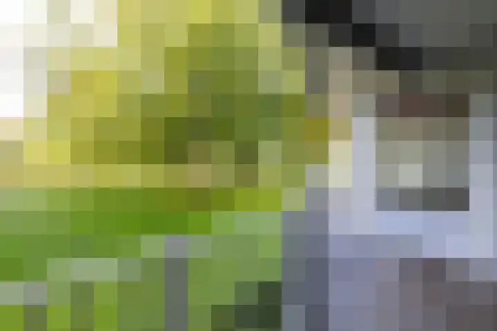Watermanstraat 22 Groningen thumbnail 14