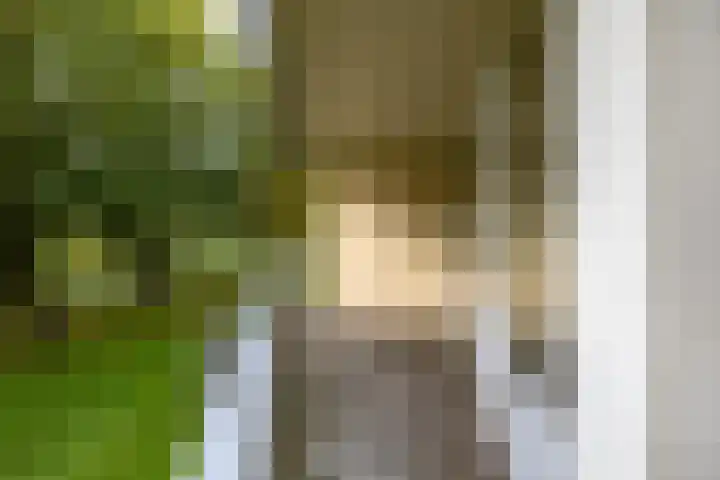 Watermanstraat 22 Groningen thumbnail 16