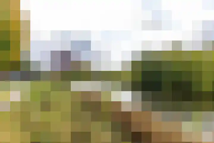 Watermanstraat 22 Groningen thumbnail 30