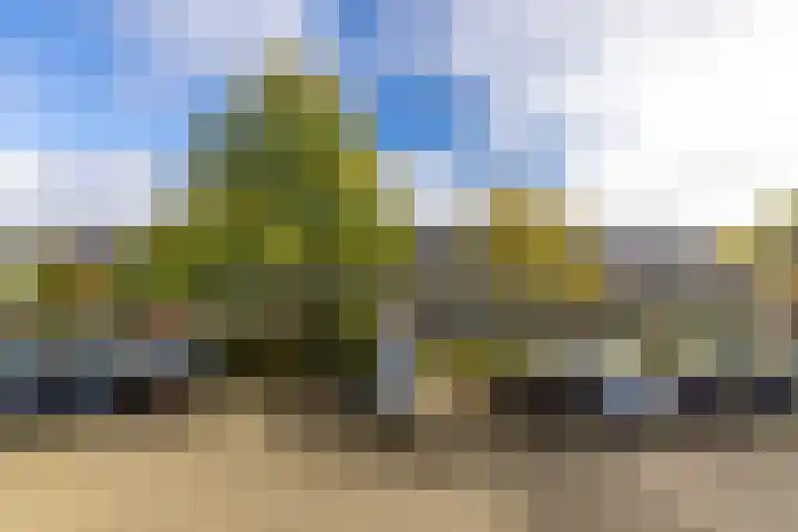 Watermanstraat 22 Groningen thumbnail 7