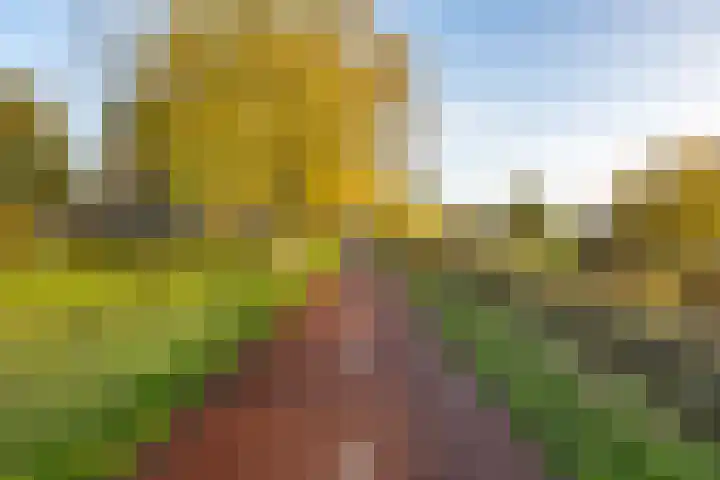 Watermanstraat 26 Groningen thumbnail 35