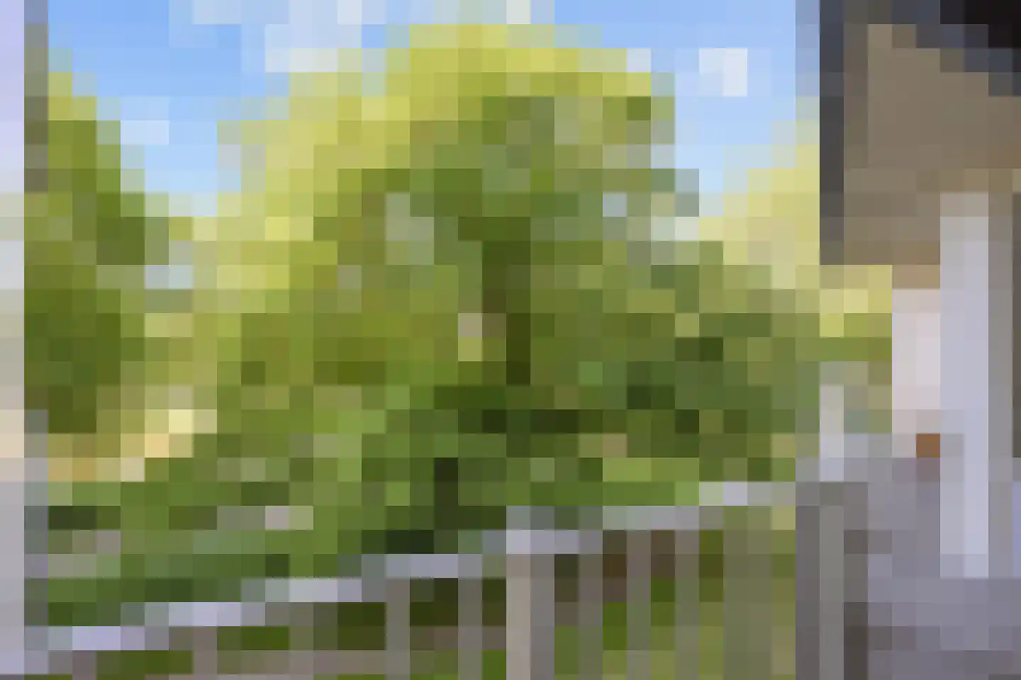 Watermanstraat 34 Groningen thumbnail 22