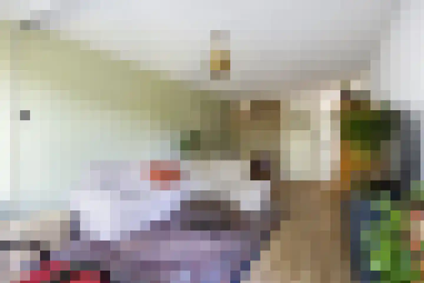 Watermanstraat 34 Groningen thumbnail 24