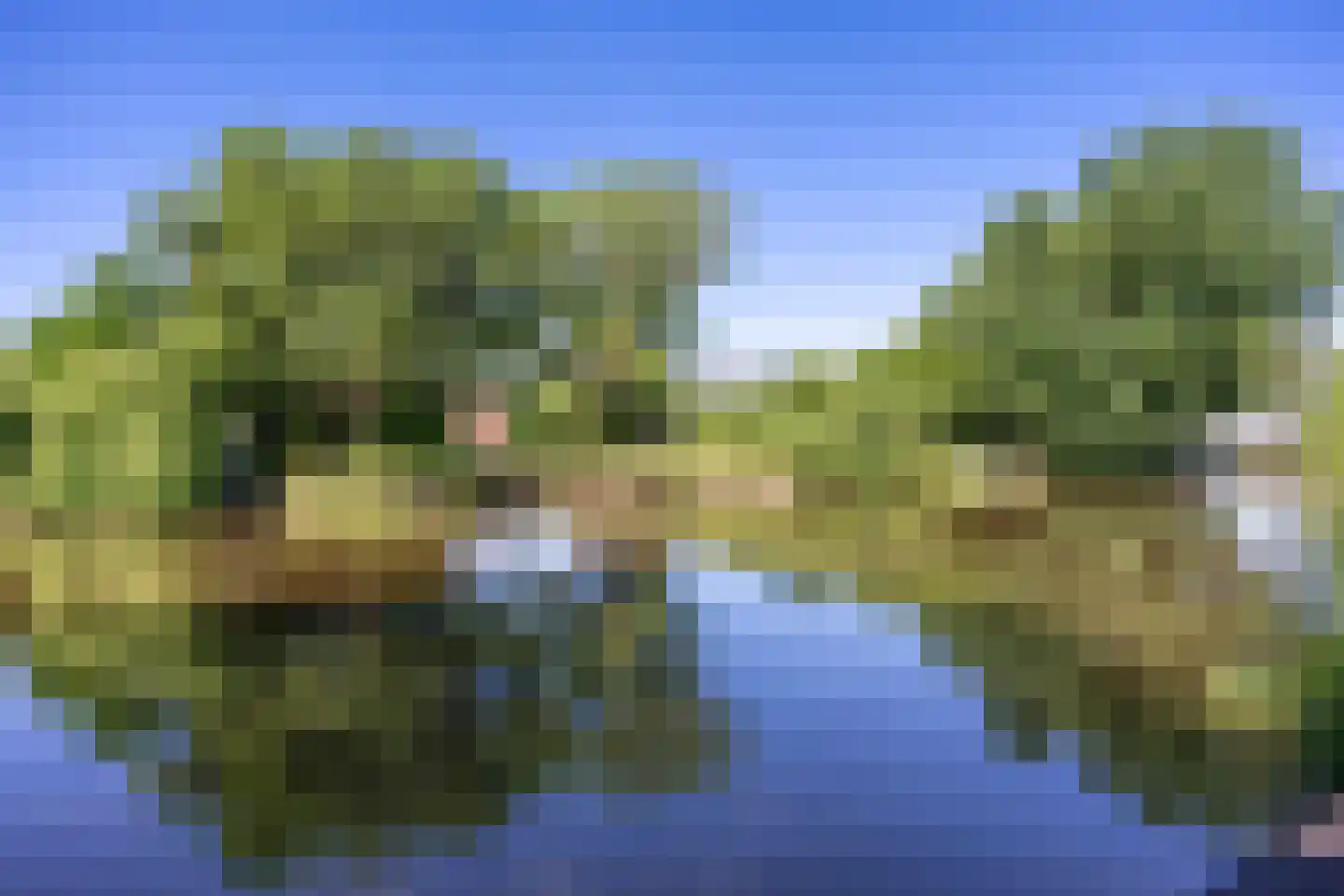 Watermanstraat 34 Groningen thumbnail 43