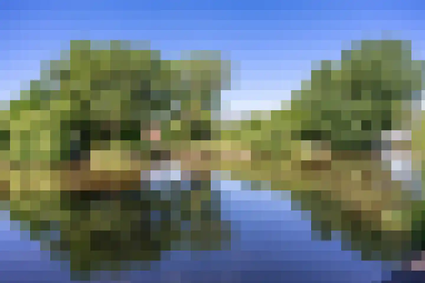 Watermanstraat 34 Groningen thumbnail 6