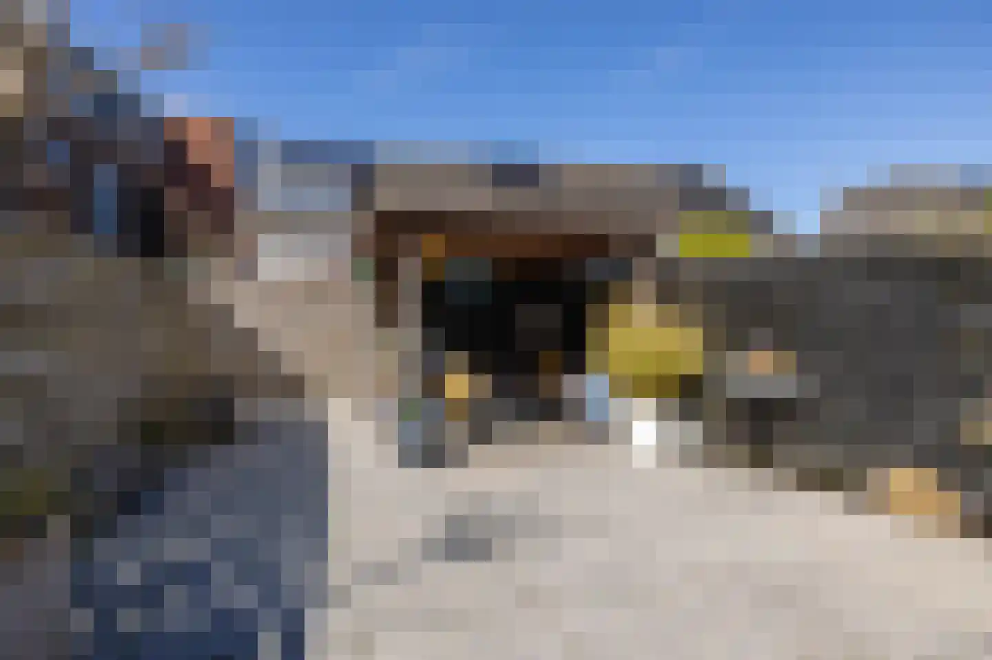 Watermeter 3 Sneek thumbnail 40