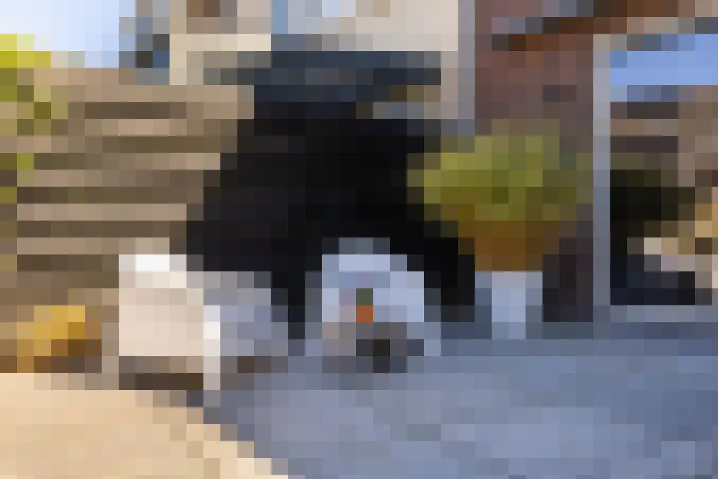 Watermeter 3 Sneek thumbnail 47