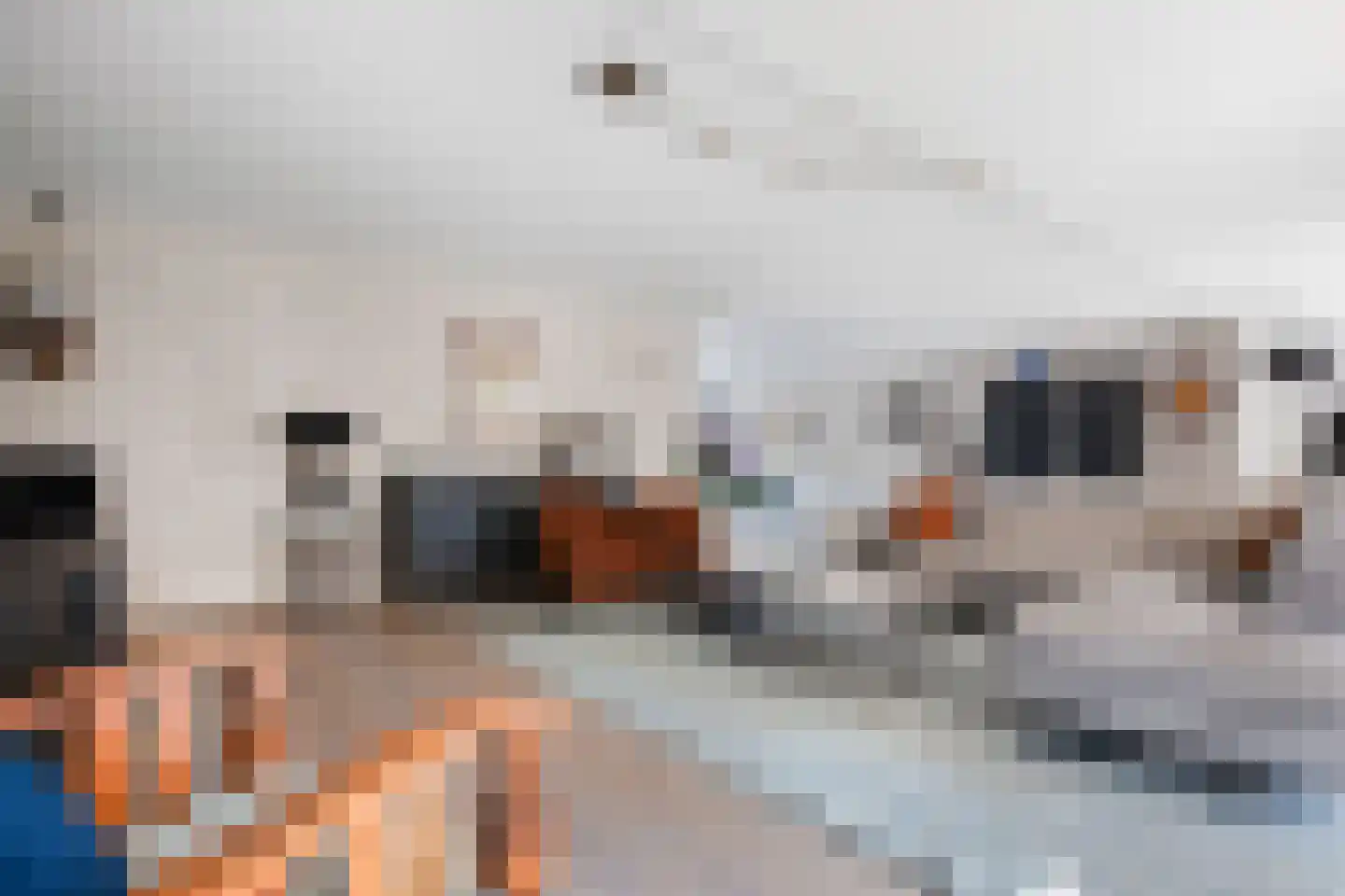 Watermolen 1 Edam thumbnail 12