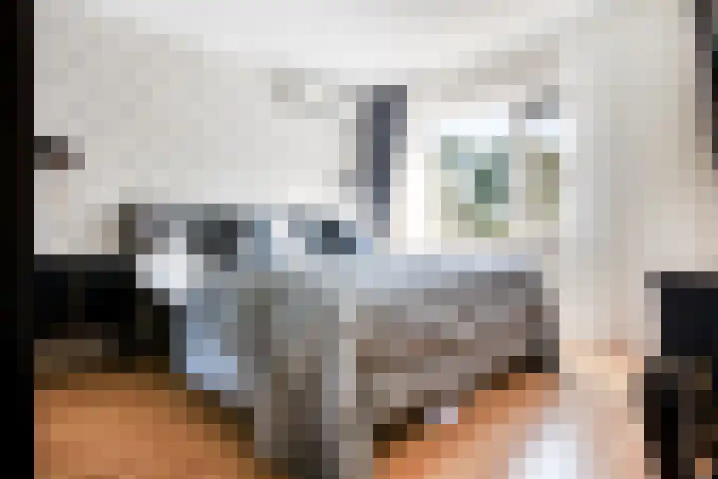 Watermolen 1 Edam thumbnail 27