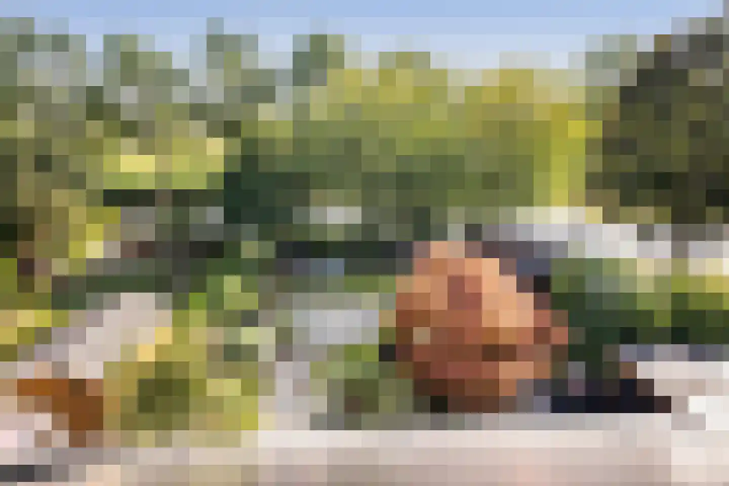 Watermolen 1 Edam thumbnail 42