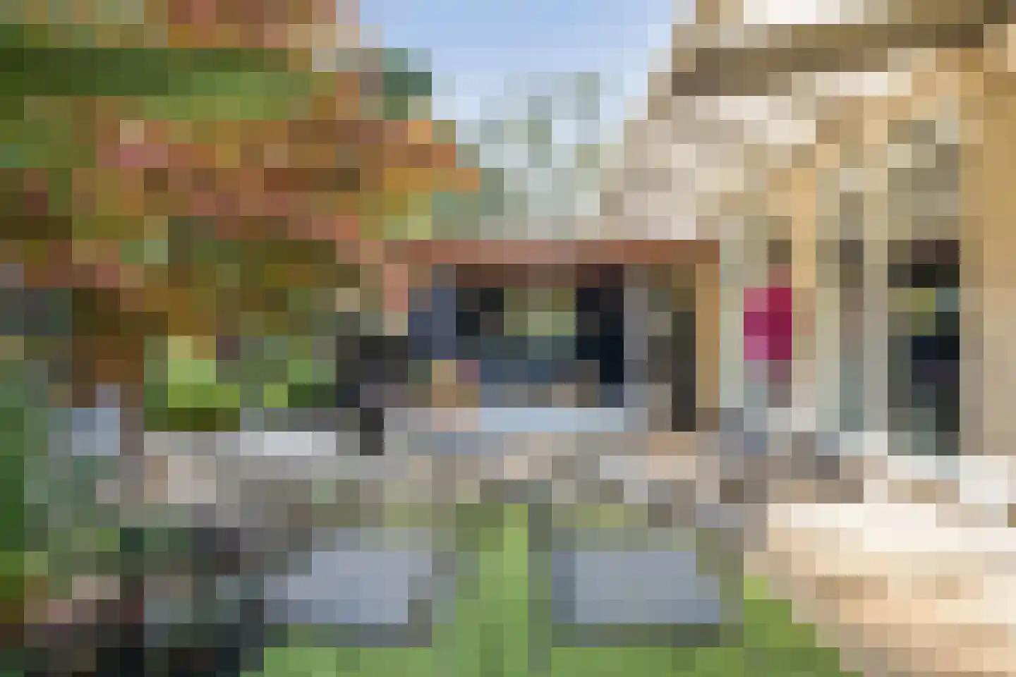 Watermolen 1 Edam thumbnail 45