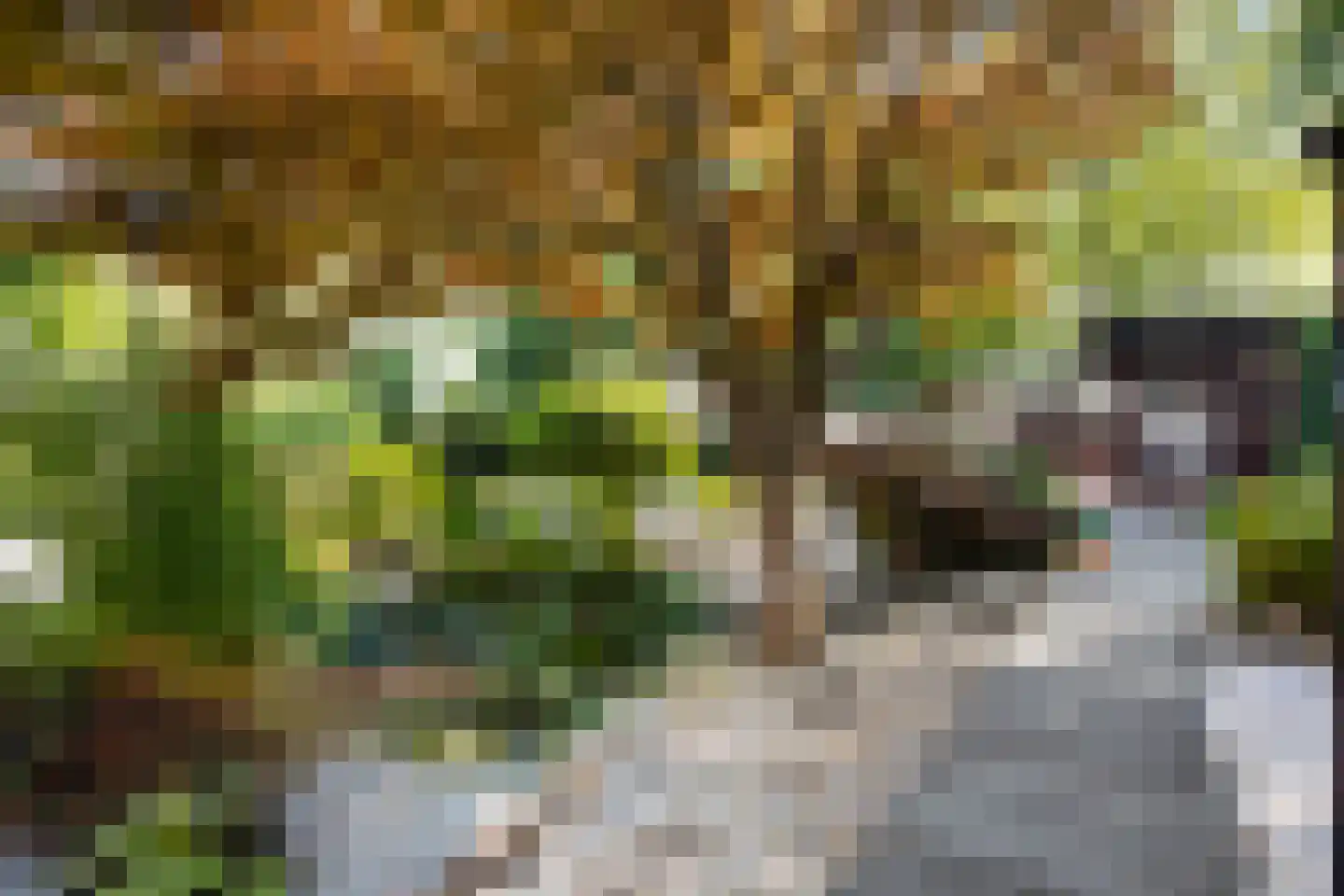 Watermolen 1 Edam thumbnail 48