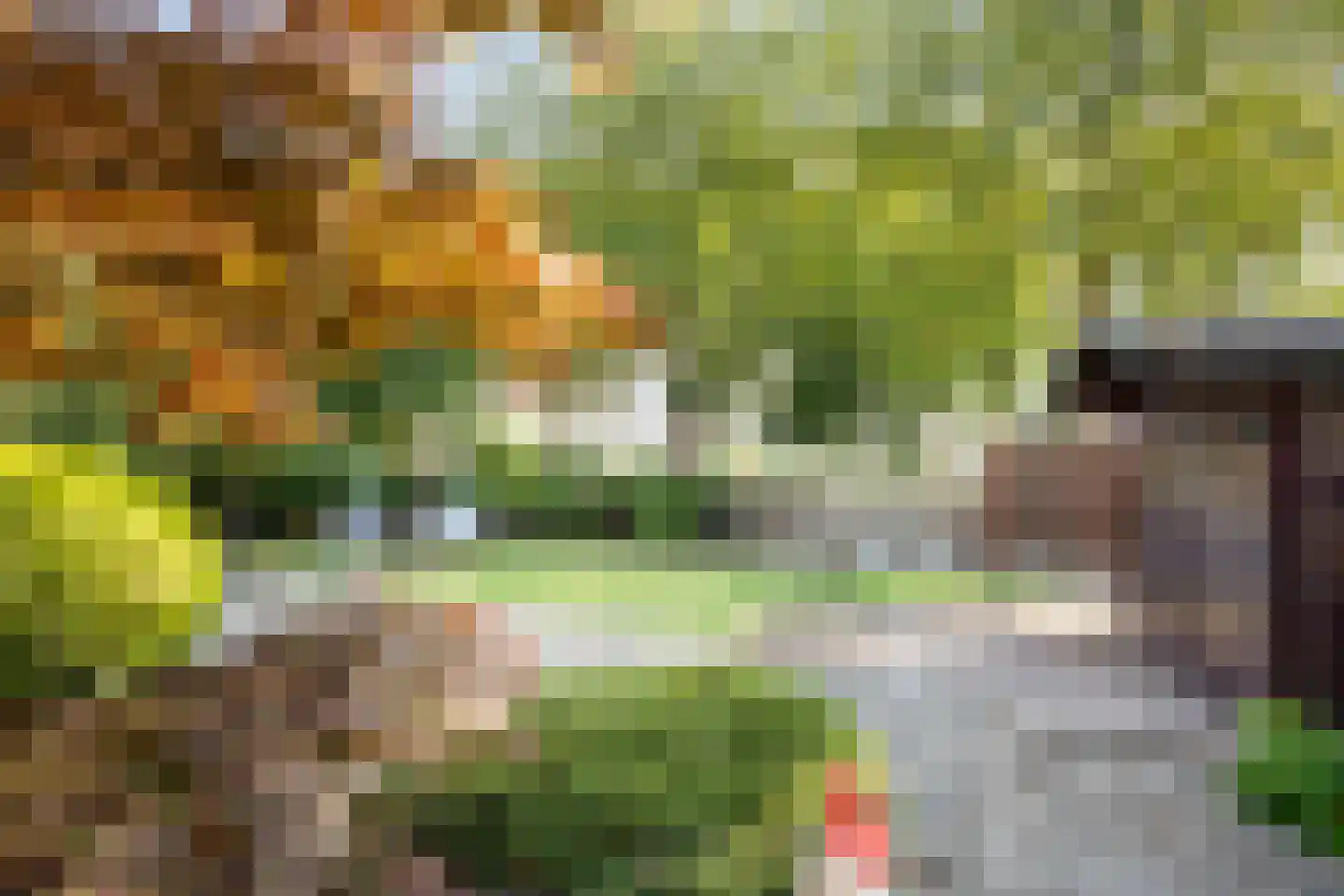 Watermolen 1 Edam thumbnail 49