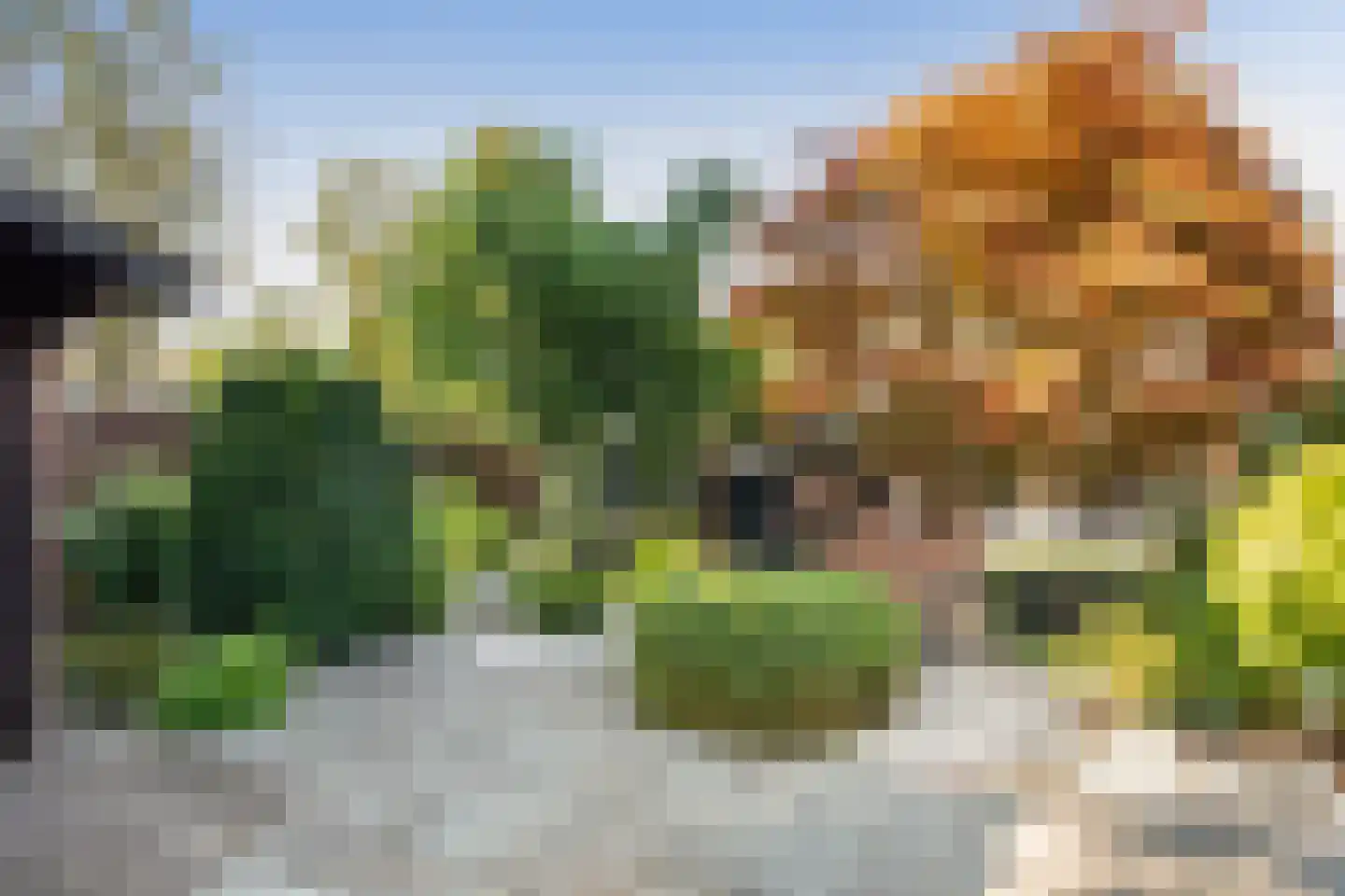Watermolen 1 Edam thumbnail 52