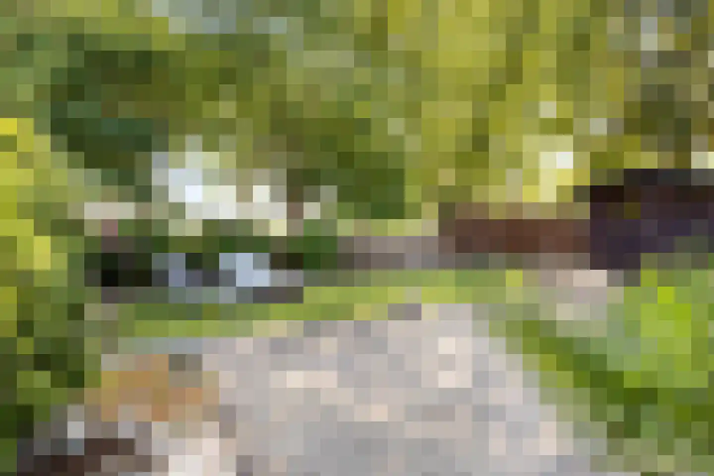 Watermolen 1 Edam thumbnail 53