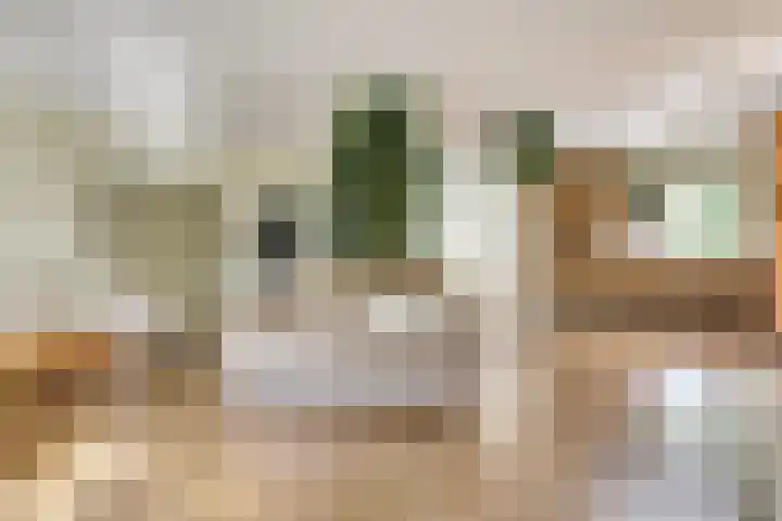 Watermolen 1 Schagen thumbnail 12