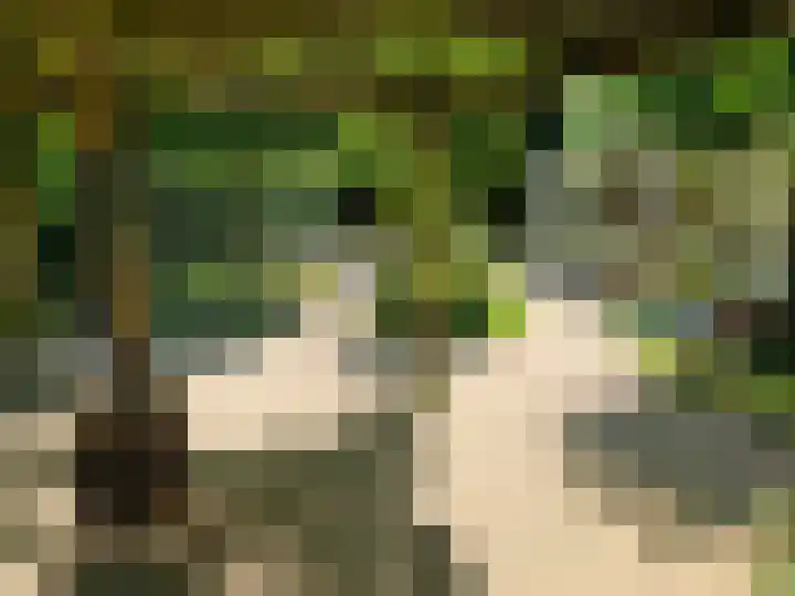 Watermolen 1 Schagen thumbnail 22
