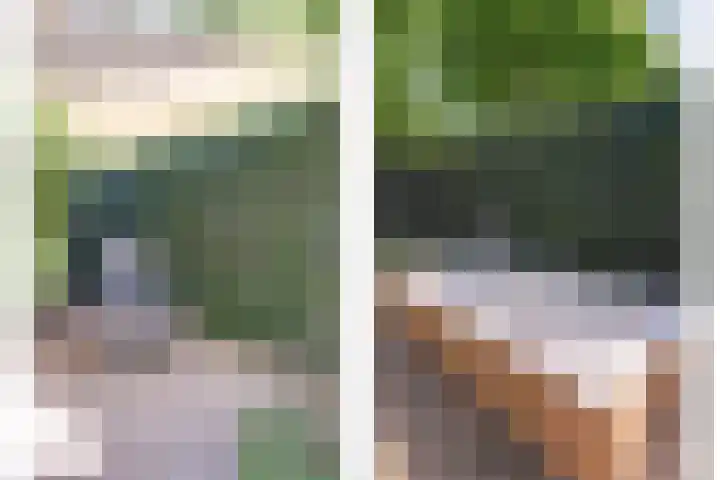 Watermolen 1 Schagen thumbnail 33