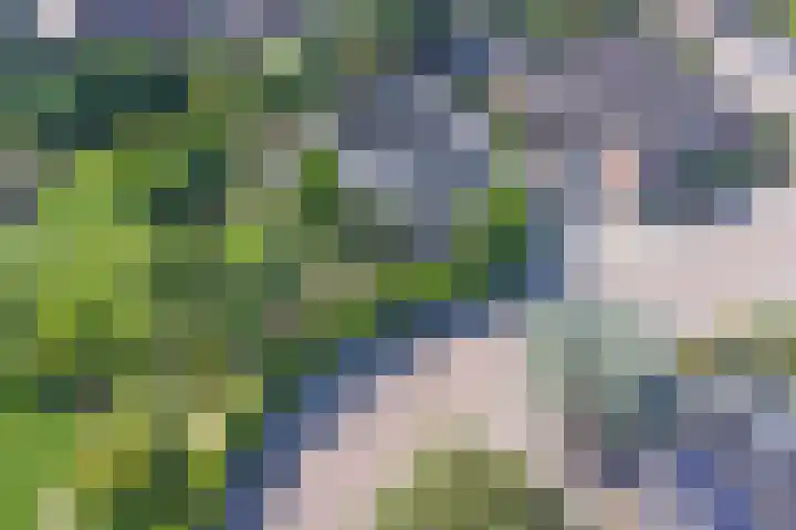 Watermolen 1 Schagen thumbnail 35