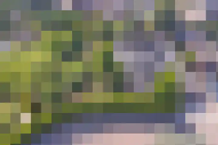 Watermolen 1 Schagen thumbnail 37
