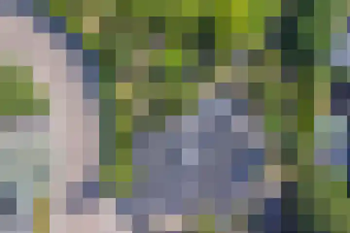 Watermolen 1 Schagen thumbnail 38