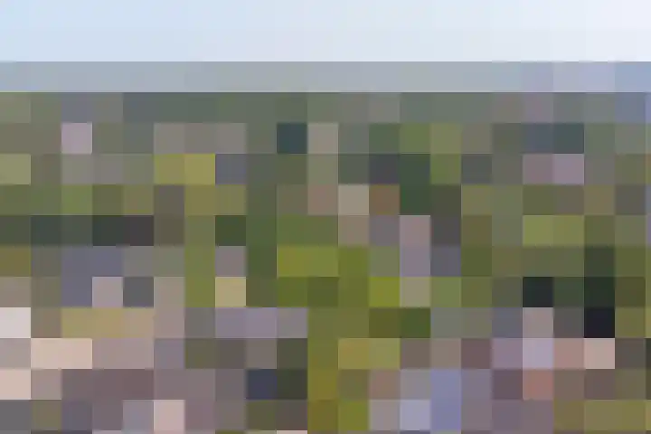 Watermolen 1 Schagen thumbnail 39