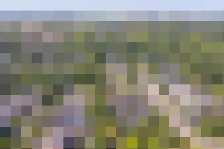Watermolen 1 Schagen thumbnail 40
