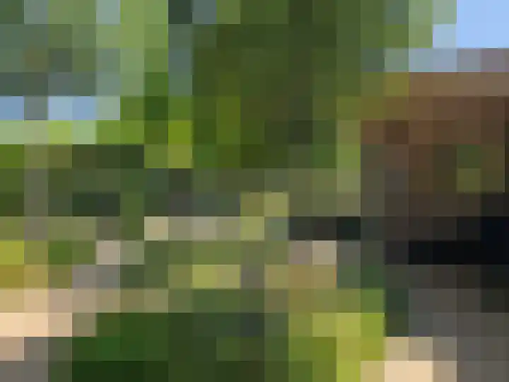 Watermolen 1 Schagen thumbnail 41