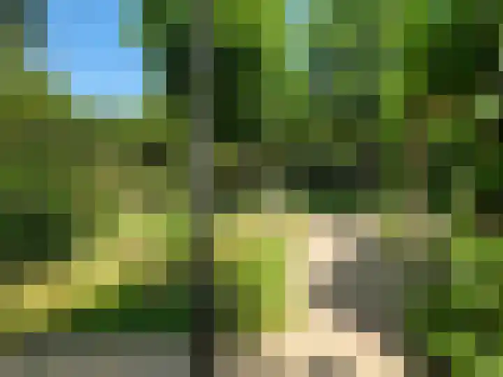 Watermolen 1 Schagen thumbnail 42