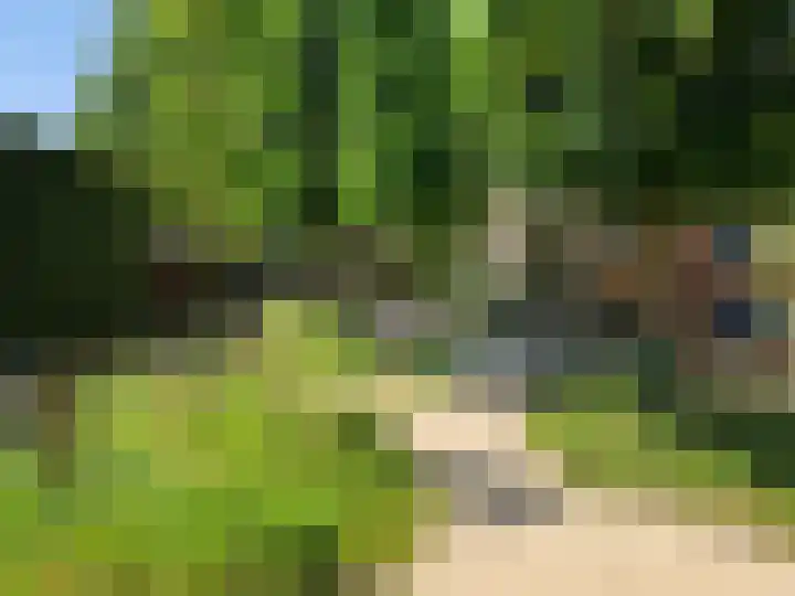 Watermolen 1 Schagen thumbnail 44