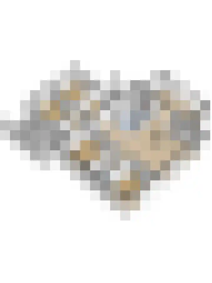 Watermolen 1 Schagen thumbnail 47