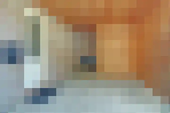 Watermolen 1 Schagen thumbnail 5
