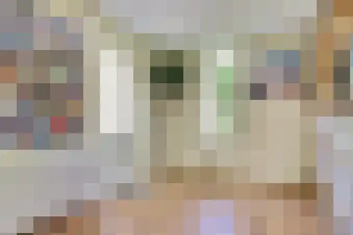 Watermolen 1 Schagen thumbnail 7