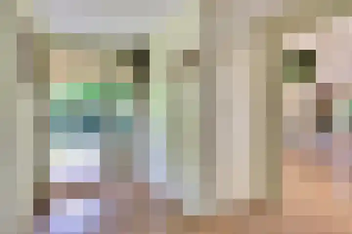 Watermolen 1 Schagen thumbnail 8