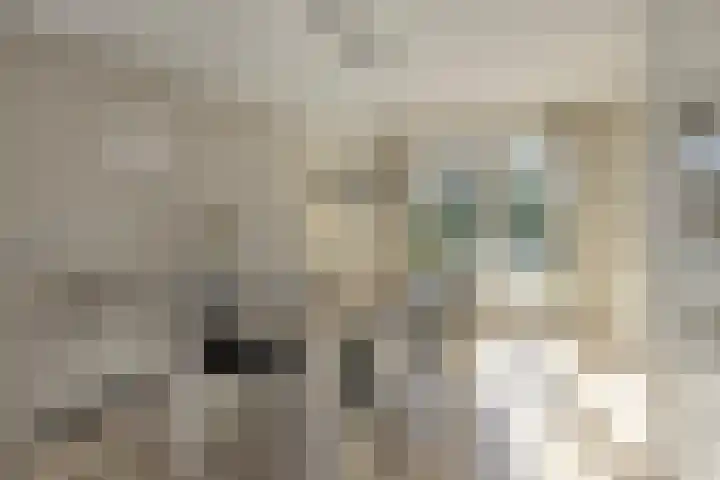 Watermolen 10 Dinteloord thumbnail 10