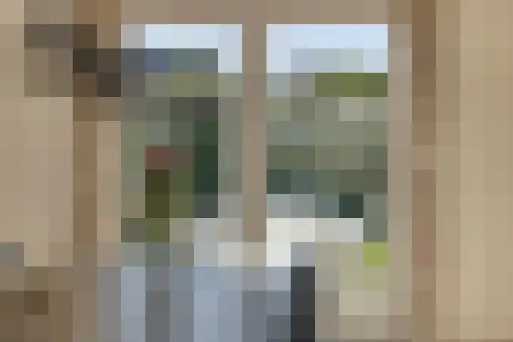 Watermolen 10 Dinteloord thumbnail 11
