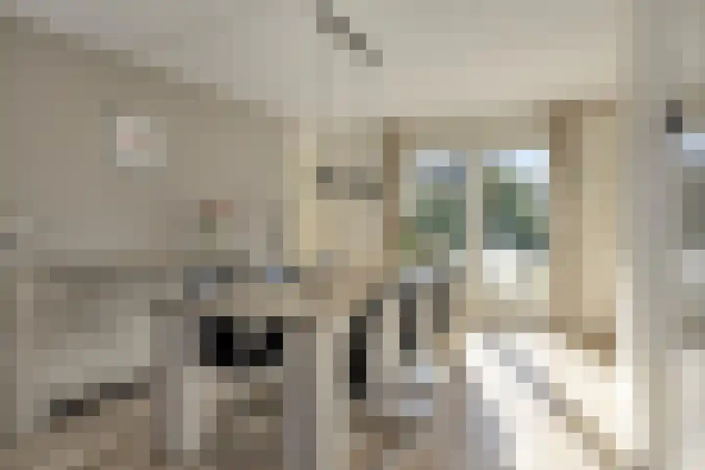 Watermolen 10 Dinteloord thumbnail 12