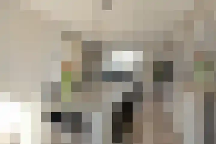 Watermolen 10 Dinteloord thumbnail 12