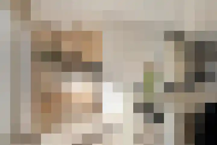 Watermolen 10 Dinteloord thumbnail 14