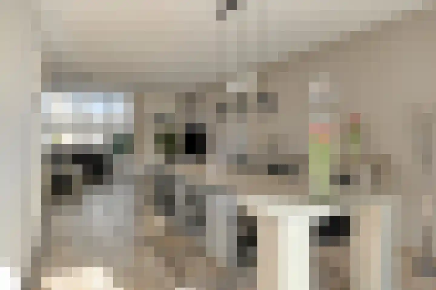 Watermolen 10 Dinteloord thumbnail 15