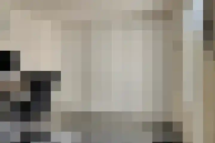 Watermolen 10 Dinteloord thumbnail 17