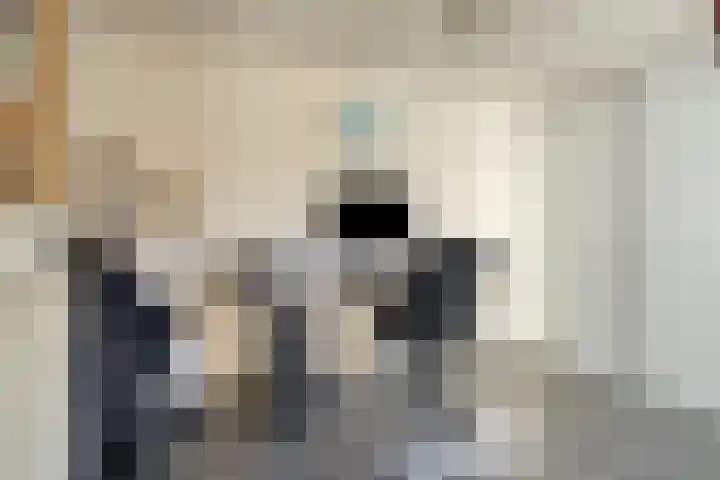 Watermolen 10 Dinteloord thumbnail 18